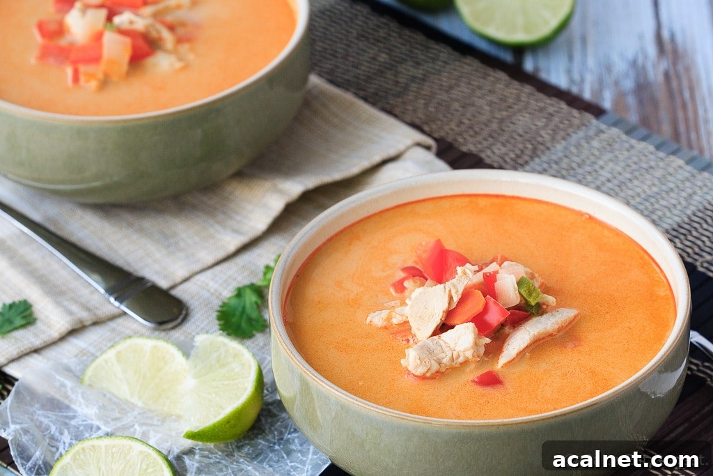 Thai Chicken and Vegetable Soup - Easy to make and ready in 30 minutes, this Thai chicken and vegetable soup is the perfect dinner! #30MinuteThursday