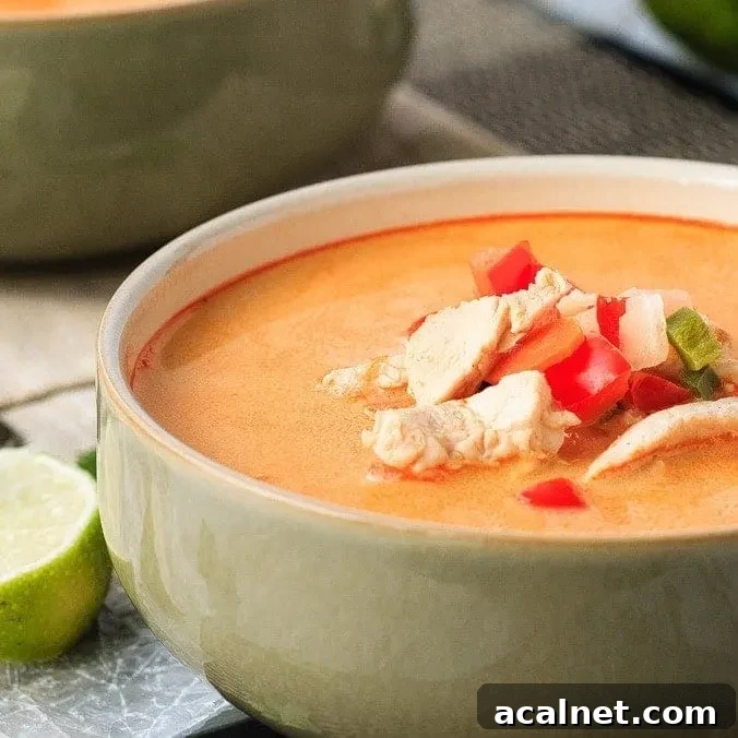 Thai Chicken and Vegetable Soup