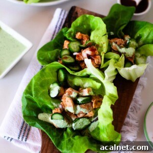 Light Fresh BBQ Chicken Lettuce Wraps with Crisp Cucumber 12 BBQ Chicken Lettuce Wraps