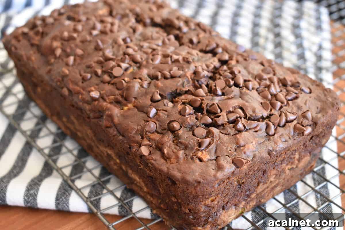 Chocolate Zucchini Banana Bread Recipe: Moist Loaf with Cocoa and Banana 6 Chocolate Zucchini Banana Bread on a cooling rack with mini chocolate chips baked on top.