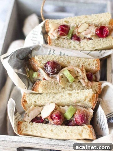 Overhead view of chicken salad with roasted grape sandwiches wrapped in deli paper placed in a grey box