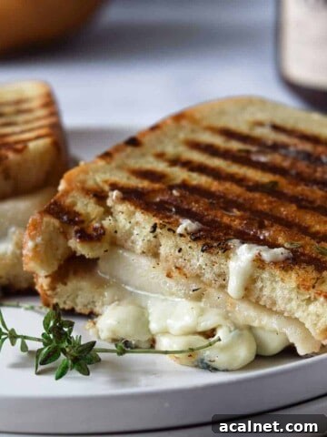 Gorgonzola grilled cheese cut in half on a white plate.