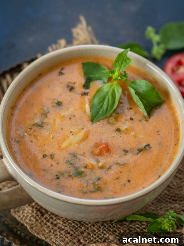 Hearty Italian-style Creamy Tomato Florentine Soup.