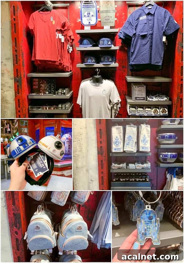 Build Your Own Droid at Droid Depot | Star Wars: Galaxy’s Edge Experience 12 droid depot