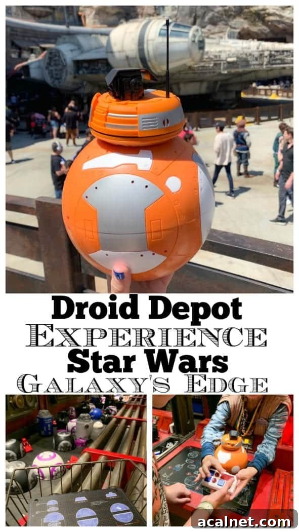 Build Your Own Droid at Droid Depot | Star Wars: Galaxy’s Edge Experience 13 Droid Depot