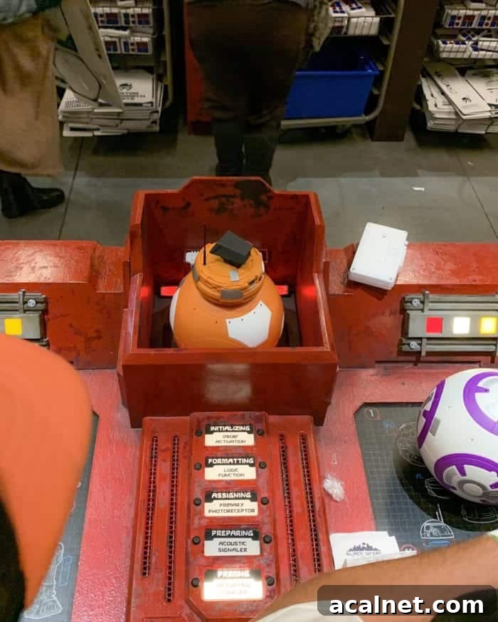 Build Your Own Droid at Droid Depot | Star Wars: Galaxy’s Edge Experience 7 Droid Depot