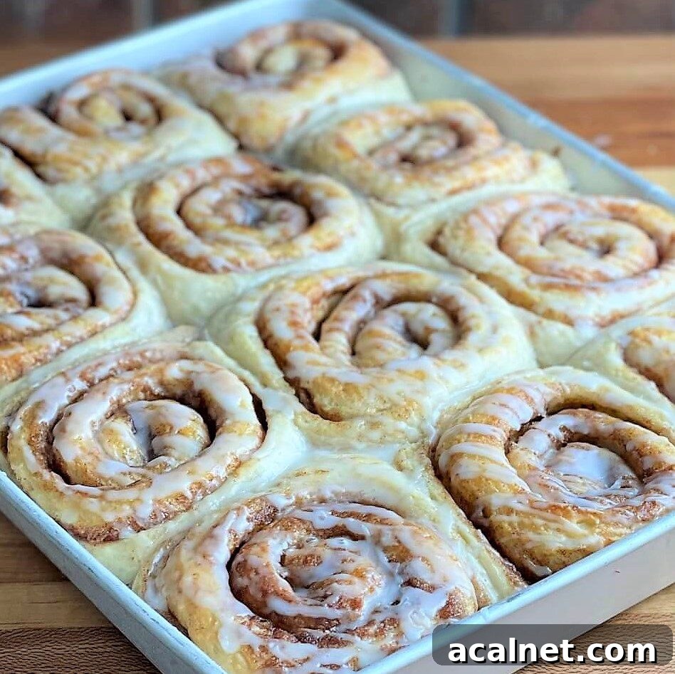 soft cinnamon rolls bakery recipe