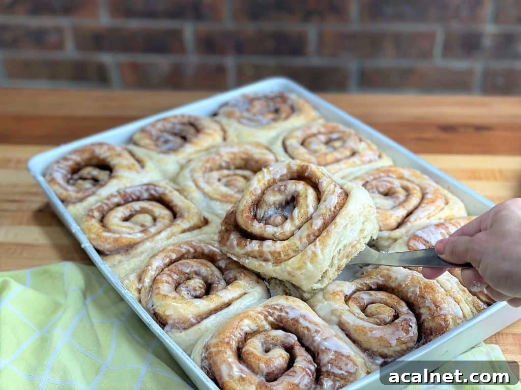 soft and gooey bakery style cinnamon rolls a bakery recipe