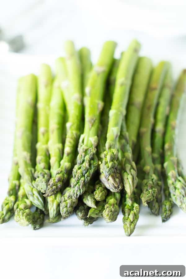 easy and quick roasted asparagus primavera kitchen recipe