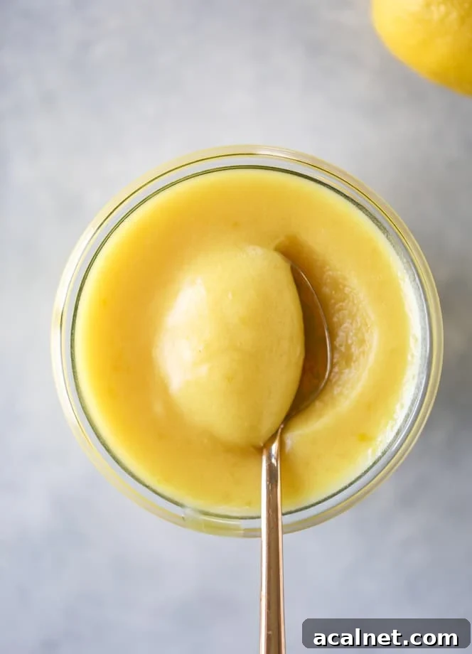 Lemon Curd Chia Parfait Recipe for Bright, Creamy Breakfast 3 lemon curd chia pudding parfait I howsweeteats.com #lemon #lemoncurd #chiapudding #snack #healthy