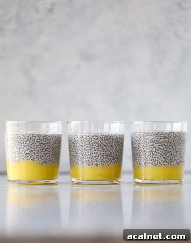 Lemon Curd Chia Parfait Recipe for Bright, Creamy Breakfast 4 lemon curd chia pudding parfait I howsweeteats.com #lemon #lemoncurd #chiapudding #snack #healthy