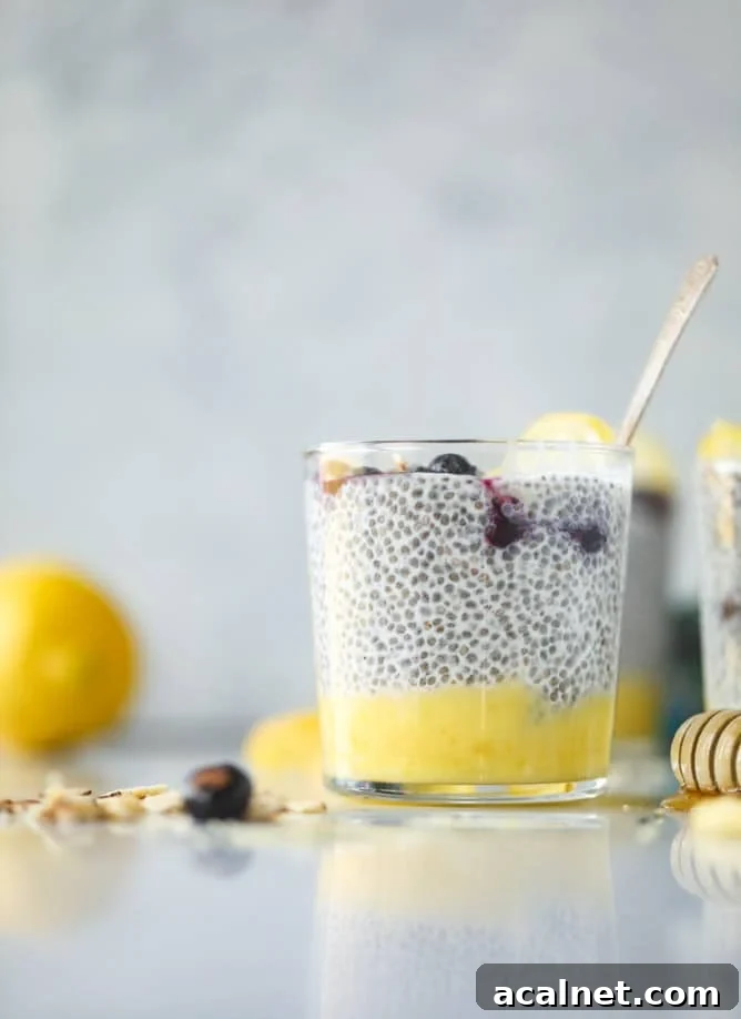 Lemon Curd Chia Parfait Recipe for Bright, Creamy Breakfast 6 lemon curd chia pudding parfait I howsweeteats.com #lemon #lemoncurd #chiapudding #snack #healthy