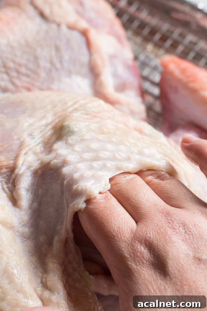 Spatchcocked Whole Turkey Smoked on a Traeger Grill 9 Rubbing herbed ghee under the skin of a raw turkey with a hand.