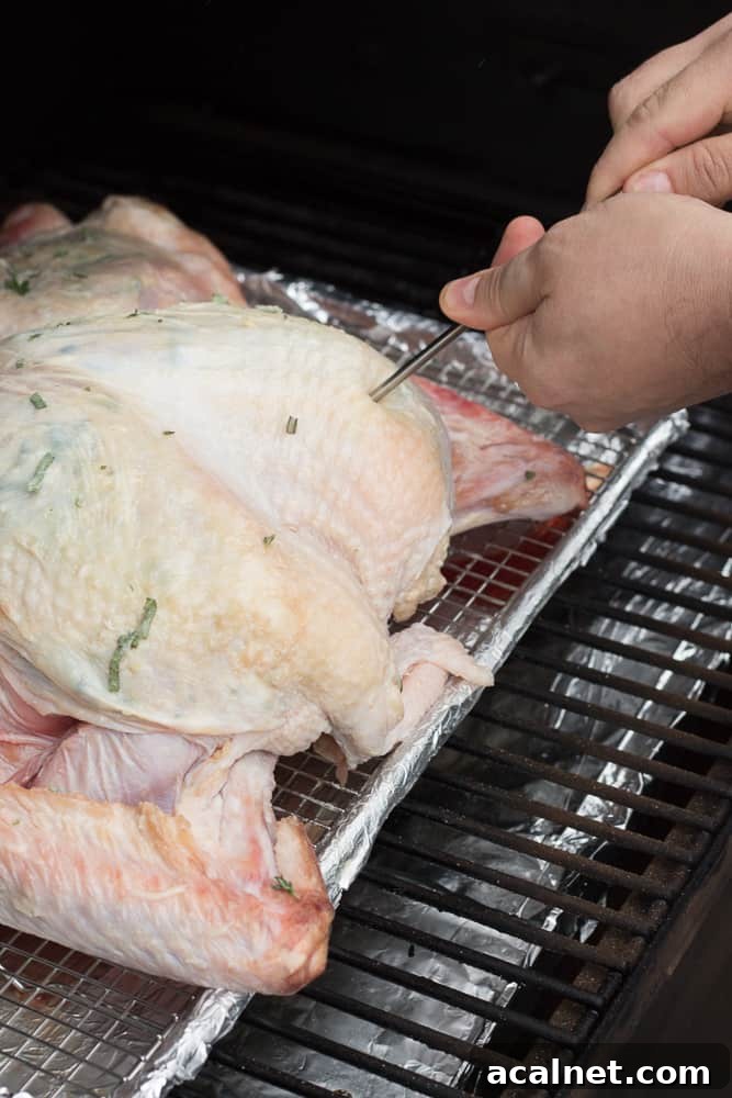 Spatchcocked Whole Turkey Smoked on a Traeger Grill 10 Inserting a temperature probe into a raw spatchcocked turkey on a grill.