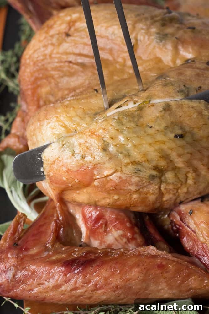 Spatchcocked Whole Turkey Smoked on a Traeger Grill 11 A knife and fork slicing into the breast of a smoked turkey.