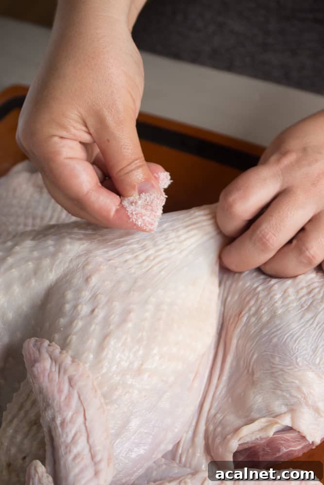Spatchcocked Whole Turkey Smoked on a Traeger Grill 5 A pair of hands putting kosher salt under the skin of a raw turkey with hands.