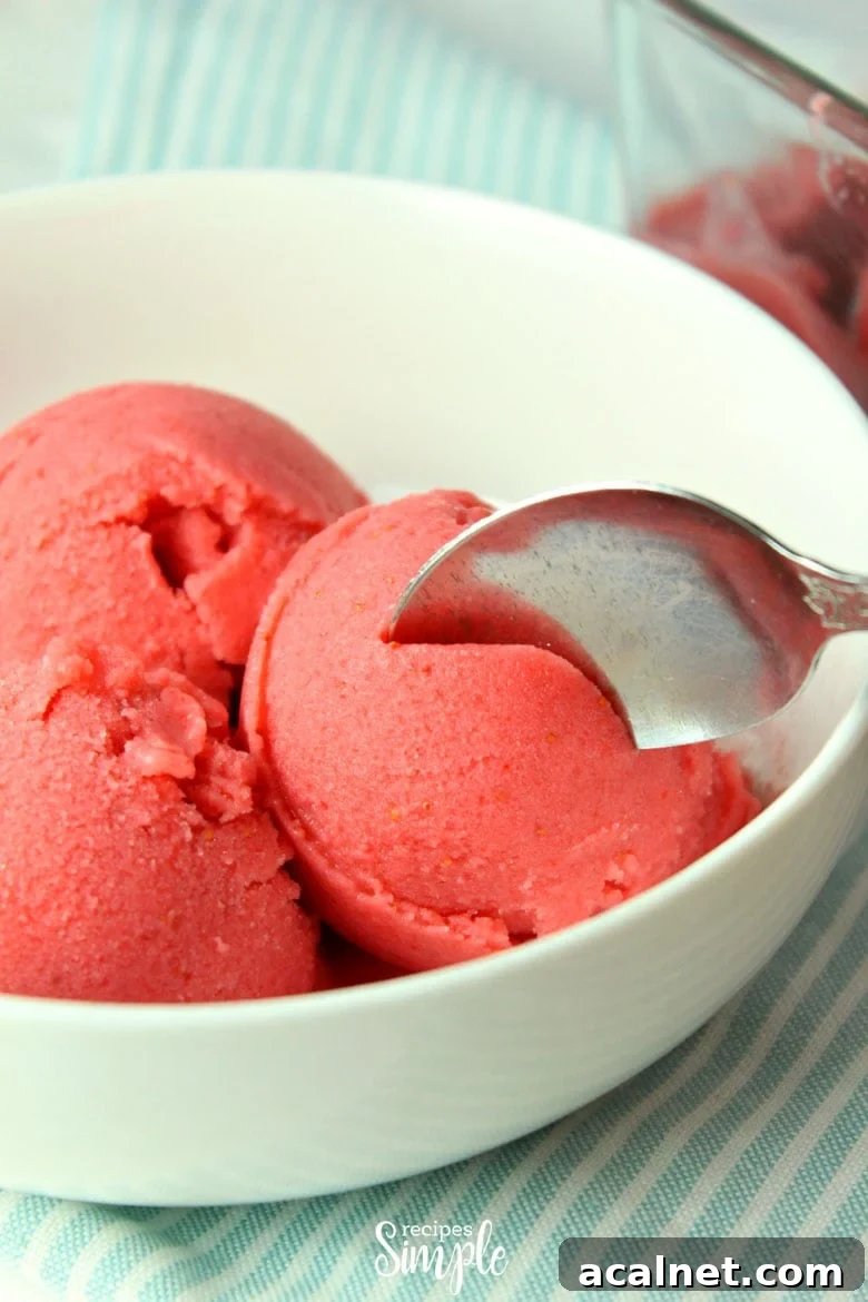 Creamy Strawberry Frozen Yogurt Recipe for Homemade Treats 2 Strawberry Frozen Yogurt Bowl