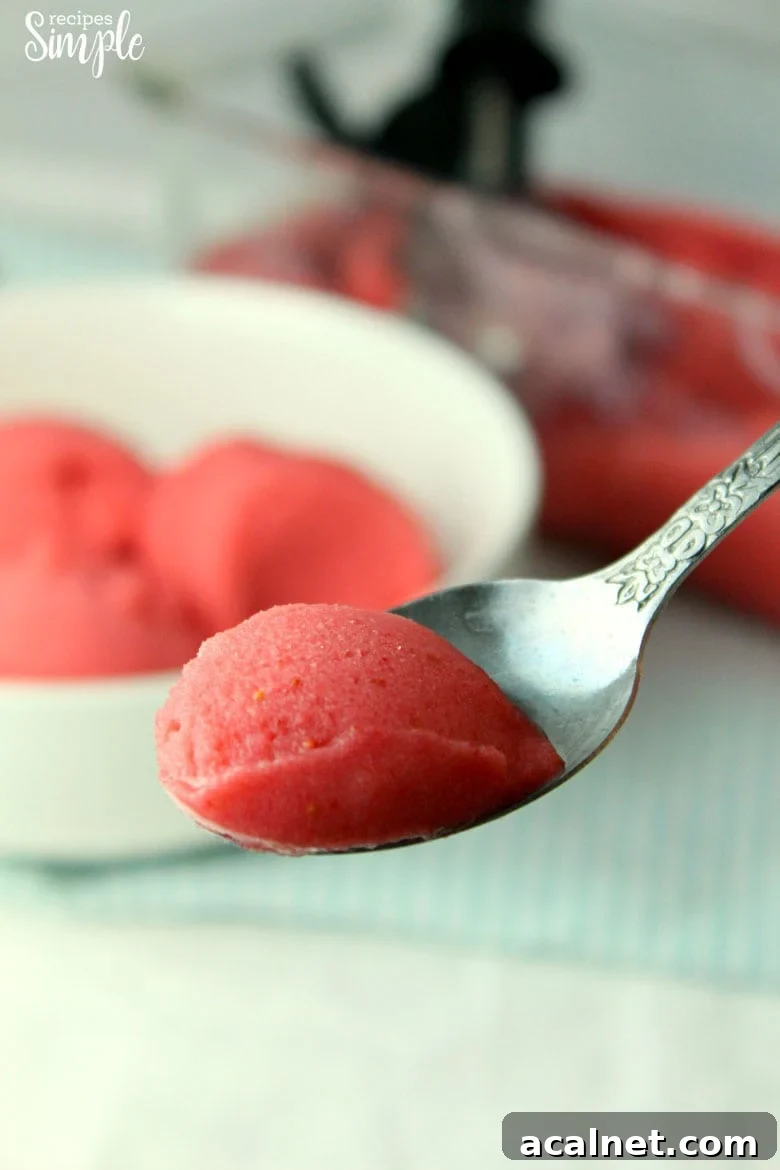 Creamy Strawberry Frozen Yogurt Recipe for Homemade Treats 3 Frozen Strawberry Yogurt In Spoon