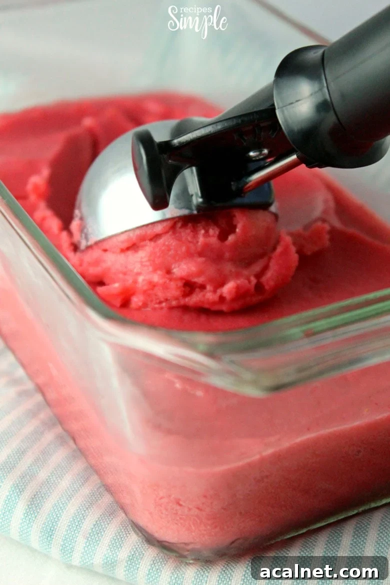 Creamy Strawberry Frozen Yogurt Recipe for Homemade Treats 4 Strawberry Frozen Yogurt Scoop