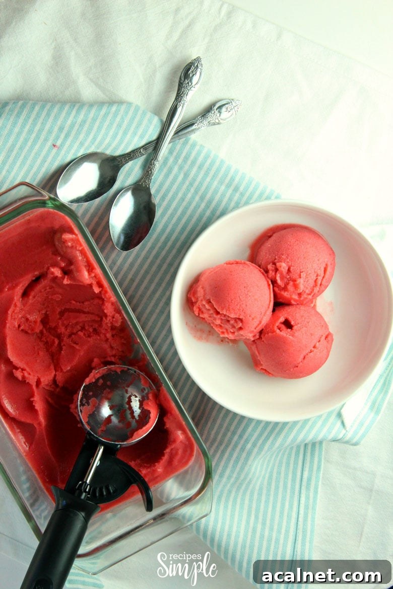 Creamy Strawberry Frozen Yogurt Recipe for Homemade Treats 6 Easy Frozen Strawberry Yogurt Bowl