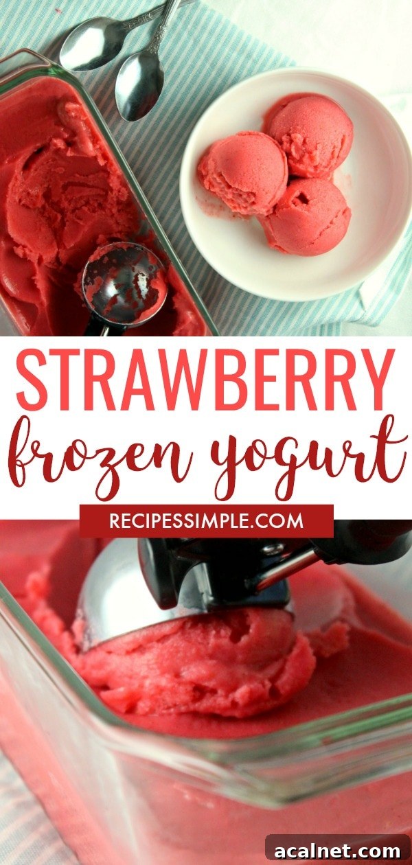 Creamy Strawberry Frozen Yogurt Recipe for Homemade Treats 8 Frozen Strawberry Yogurt Recipe