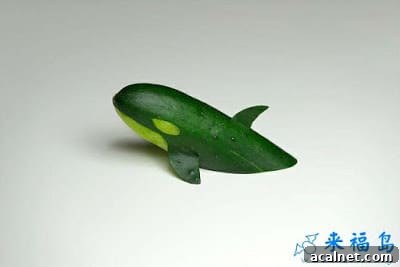 A fresh cucumber decorated to look like a killer whale