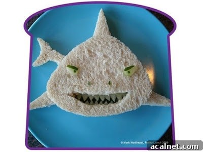 A sandwich cut and decorated to look like a great white shark