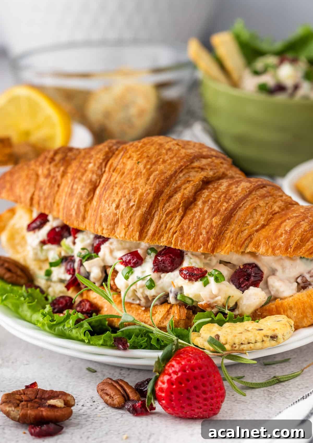 Deli-style croissant sandwich with cranberry chicken salad and pecans.