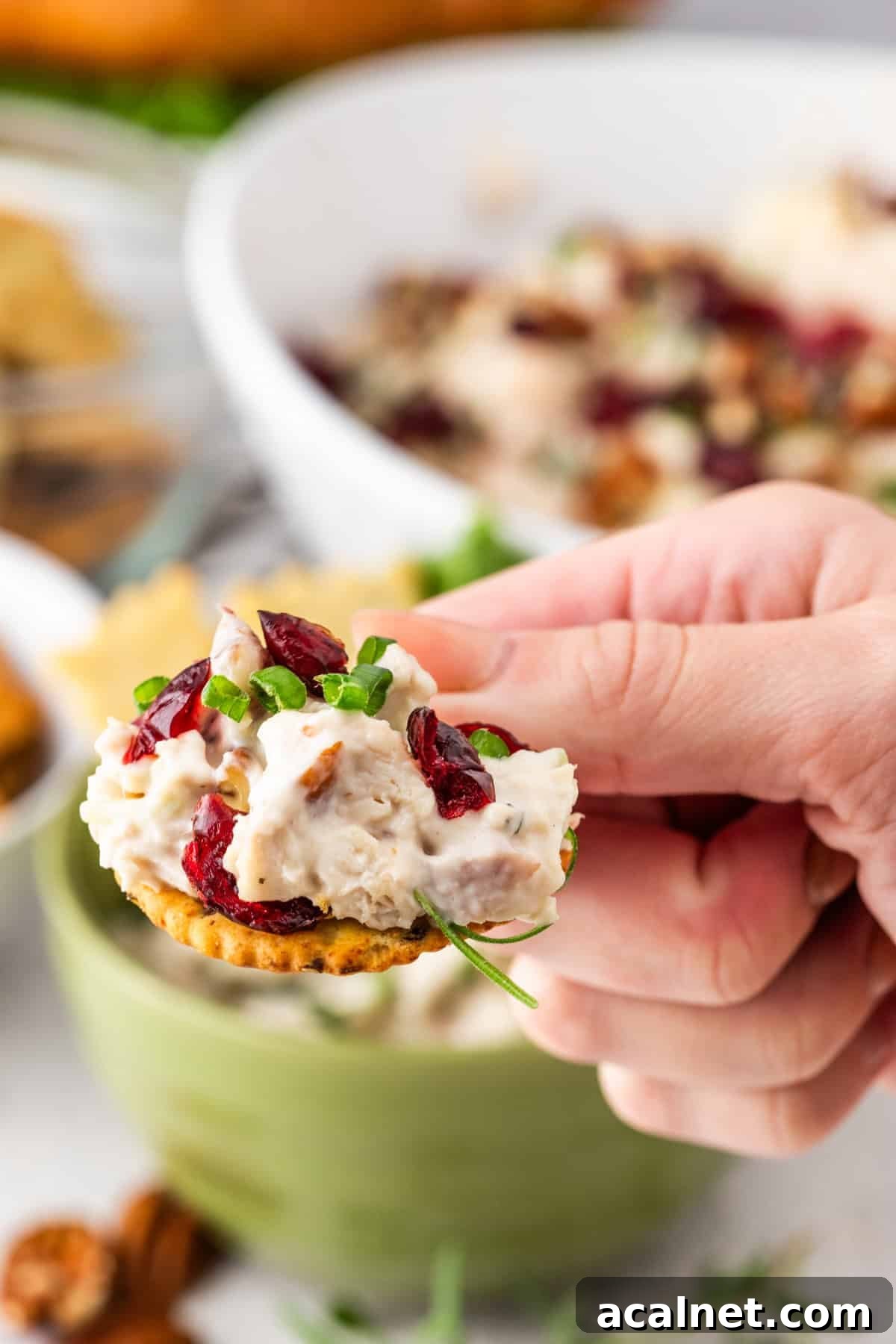 Some cranberry pecan chicken salad spread on a round cracker.