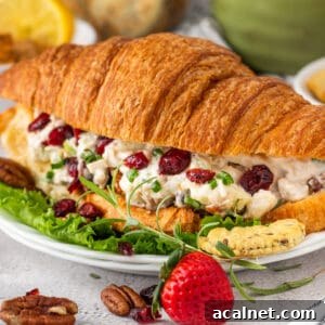 Cranberry Chicken Salad with Pecan in a croissant sandwhich.