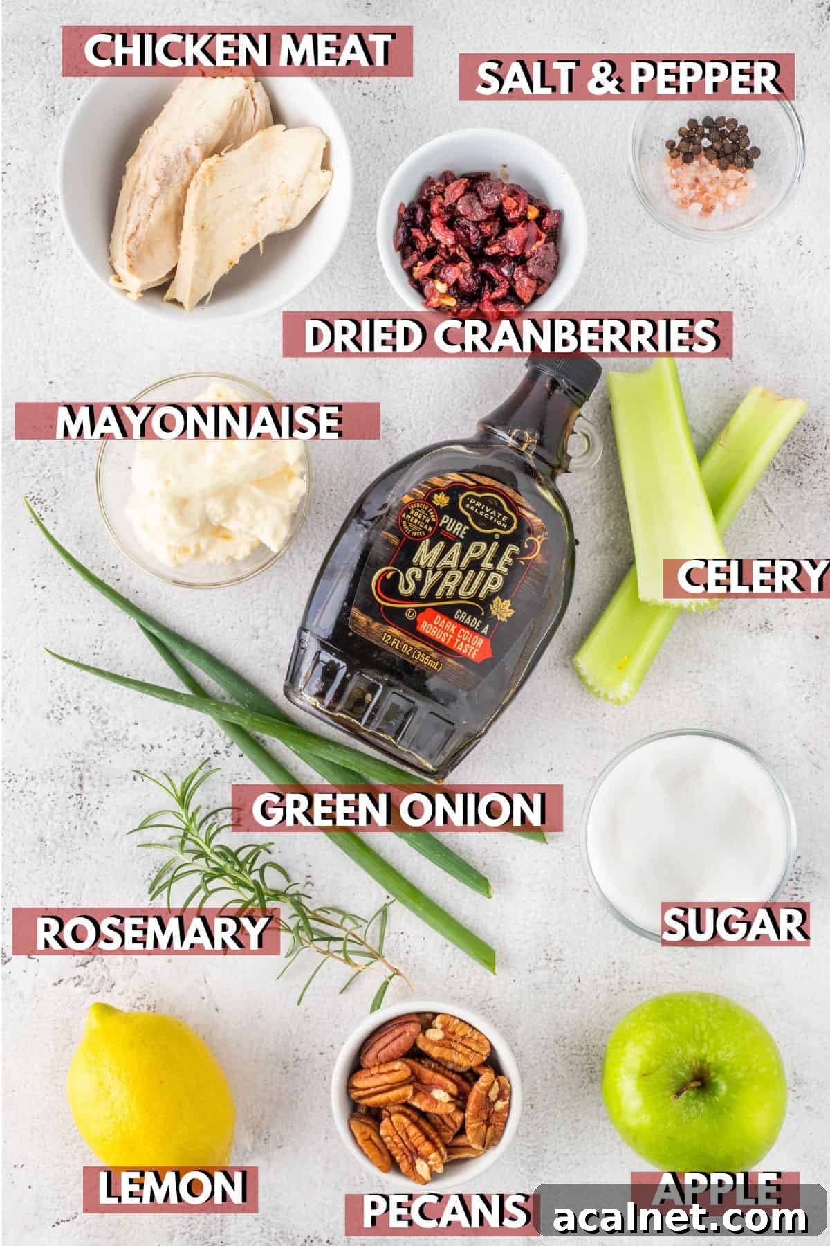 Chicken, cranberries, pecans and other ingredients for cranberry chicken salad.
