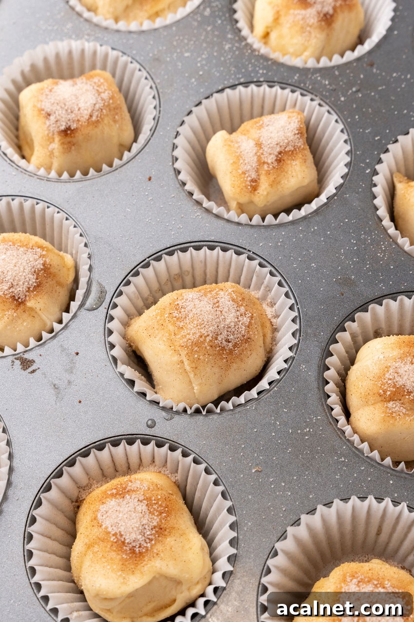cinnamon sugar topped marshmallow stuffed crescent roll balls in a metal muffin tin pan