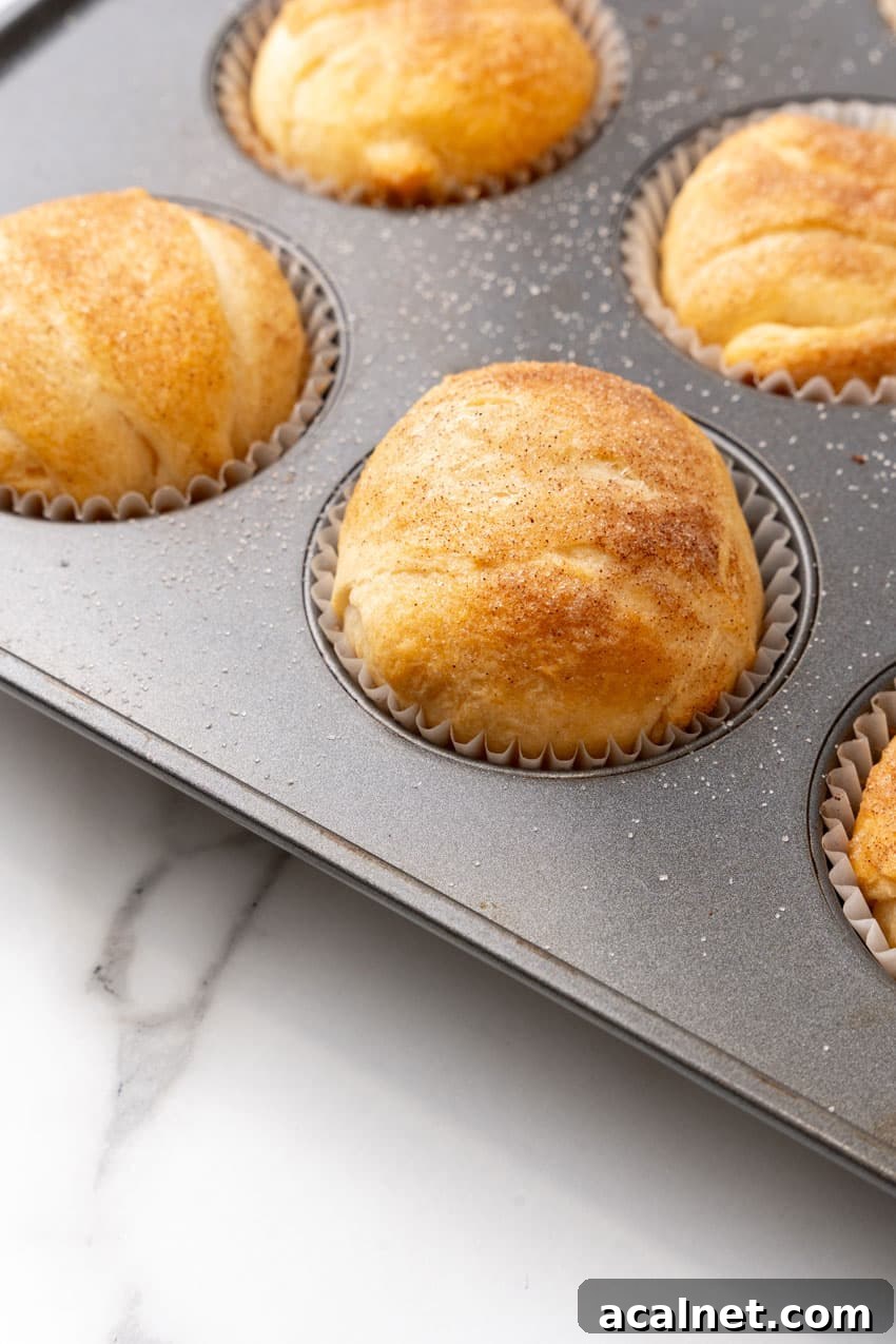 baked puffed up resurrection rolls in a metal muffin pan
