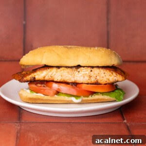 Simple salmon sandwich on a hoagie roll.