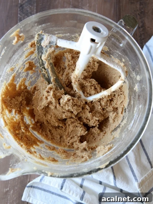 Homemade Honey Graham Cracker | completelydelicious.com