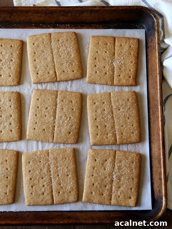 Homemade Honey Graham Cracker | completelydelicious.com