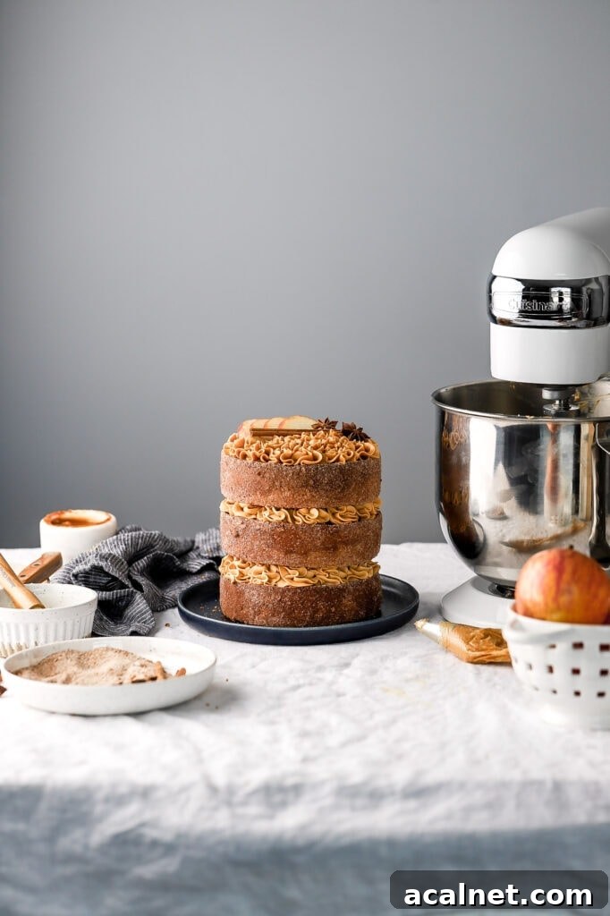 Apple Cider Donut Cake with Dulce de Leche Frosting — Autumn Dessert 2 Apple Cider Donut Cake