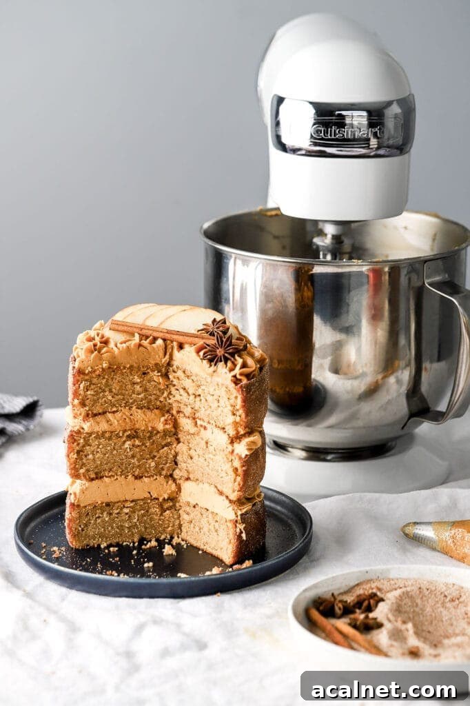 Apple Cider Donut Cake with Dulce de Leche Frosting — Autumn Dessert 6 Apple Cider Donut Cake