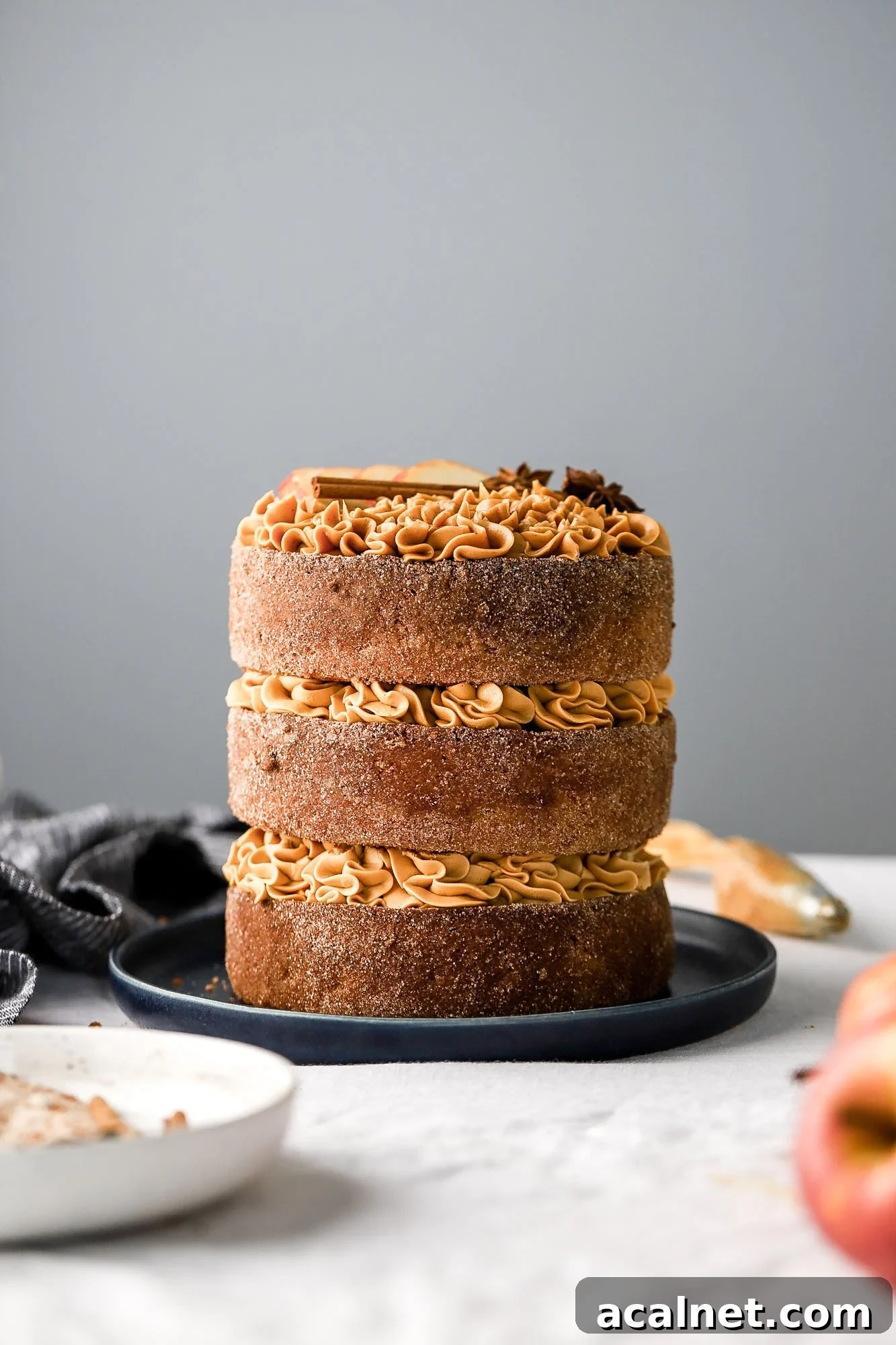 Apple Cider Donut Cake with Dulce de Leche Frosting — Autumn Dessert 9 img 5957 8