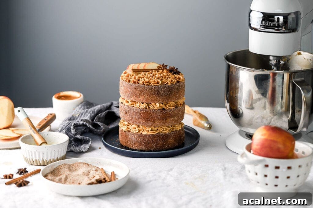 Apple Cider Donut Cake with Dulce de Leche Frosting — Autumn Dessert 10 Apple Cider Donut Cake