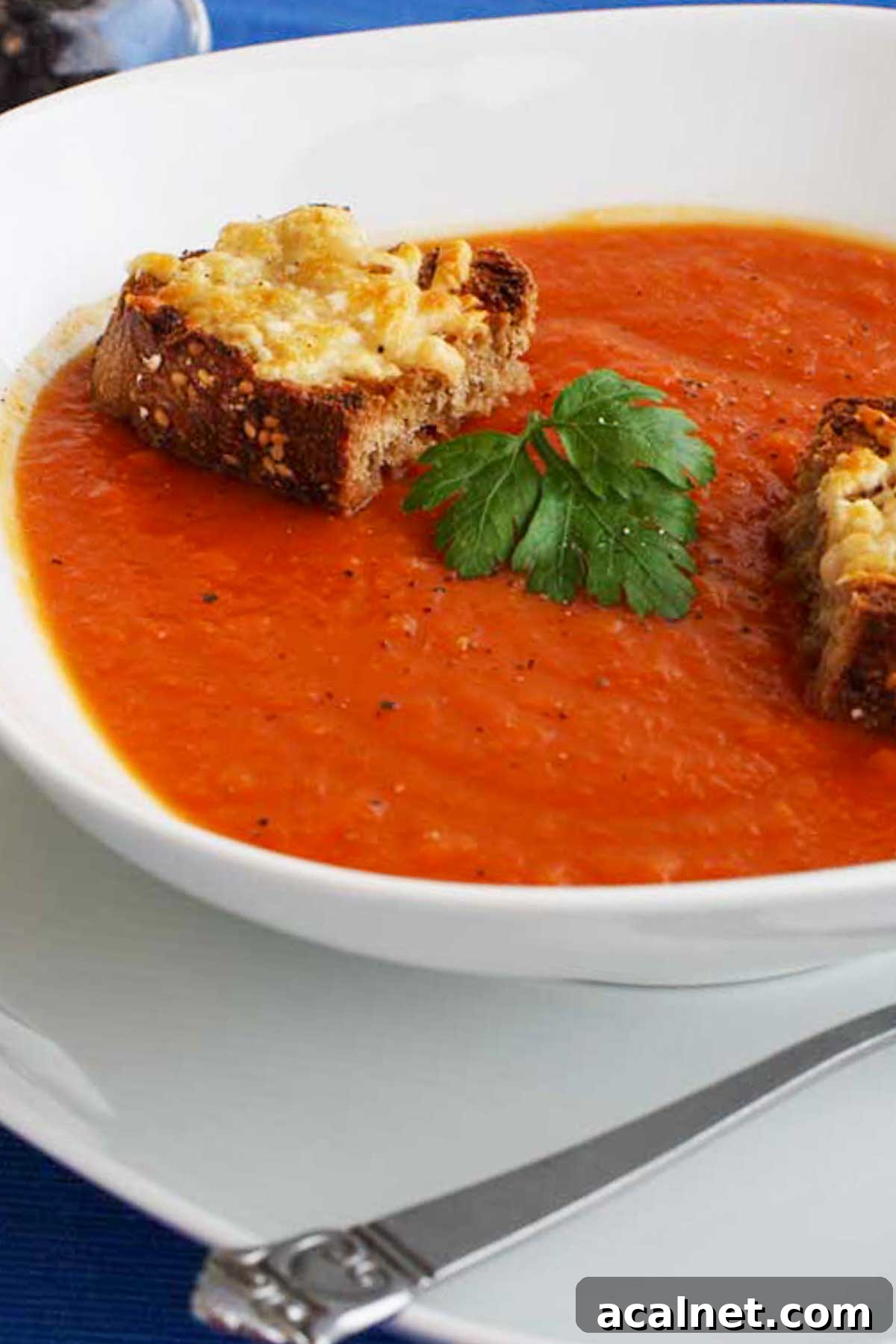 Creamy Roasted Butternut Squash and Tomato Soup Recipe 2 Extreme closeup of the top of a white bowl of butternut squash and tomato soup with little cheese toasts on top and a single parsley leaf.