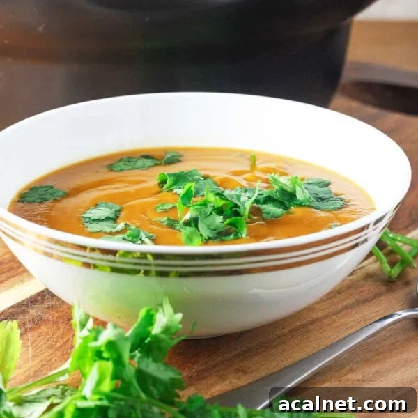 Creamy Roasted Butternut Squash and Tomato Soup Recipe 11 Thick red lentil soup in a white bowl with coriander on top.