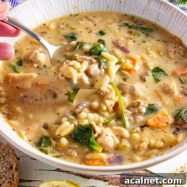 Creamy Roasted Butternut Squash and Tomato Soup Recipe 9 A white bowl of creamy chicken orzo soup with someone scooping up a spoonful.