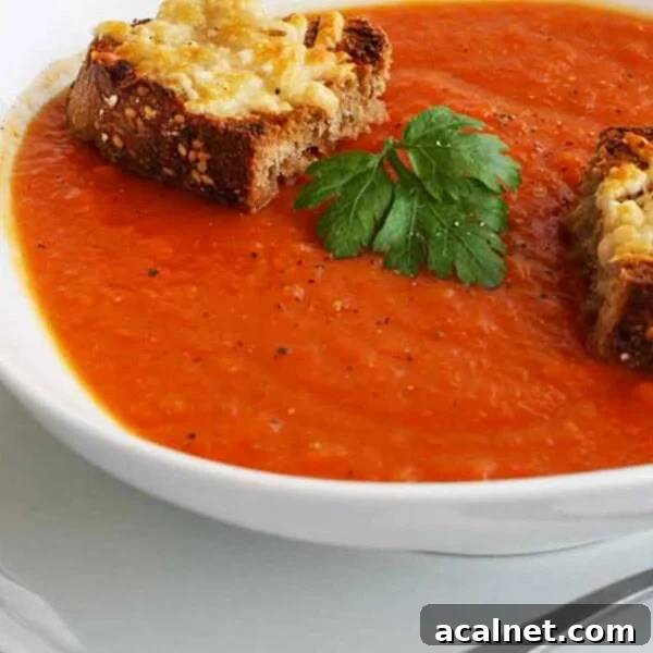 Creamy Roasted Butternut Squash and Tomato Soup Recipe 10 Extreme closeup of the top of a white bowl of butternut squash and tomato soup with little cheese toasts on top and a single parsley leaf.