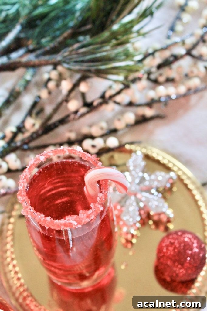 Sparkling Cranberry Pomegranate Champagne Cocktail for Christmas 2 holiday champagne cocktail