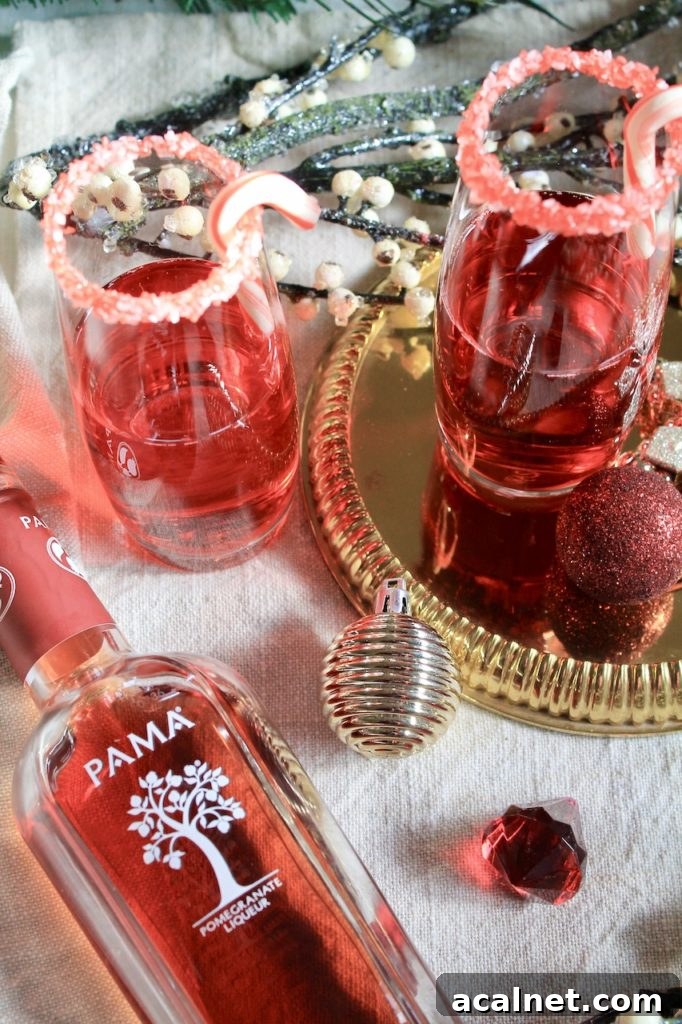 Sparkling Cranberry Pomegranate Champagne Cocktail for Christmas 3 champagne christmas cocktail