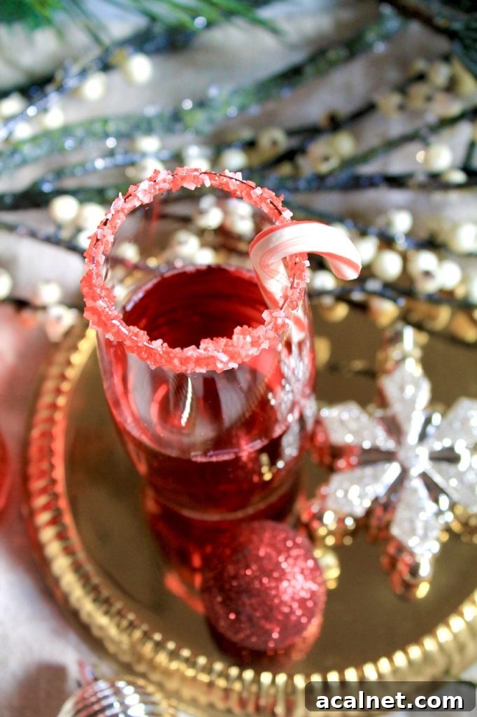 Sparkling Cranberry Pomegranate Champagne Cocktail for Christmas 4 champagne christmas cocktail