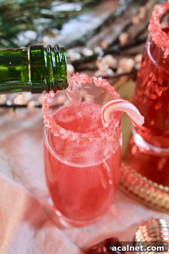 Sparkling Cranberry Pomegranate Champagne Cocktail for Christmas 5 champagne christmas cocktail
