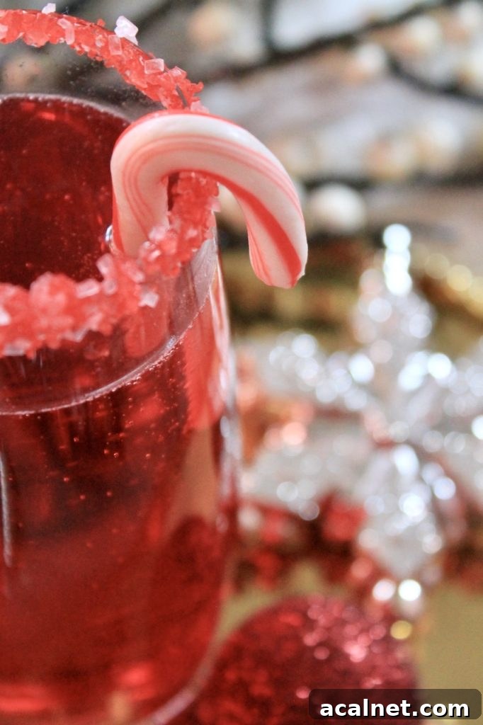 Sparkling Cranberry Pomegranate Champagne Cocktail for Christmas 6 candy cane garnish