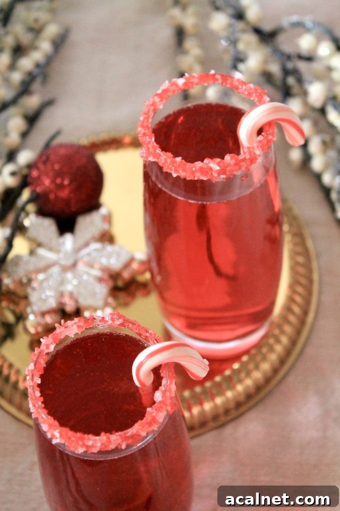 Sparkling Cranberry Pomegranate Champagne Cocktail for Christmas 7 champagne christmas cocktail
